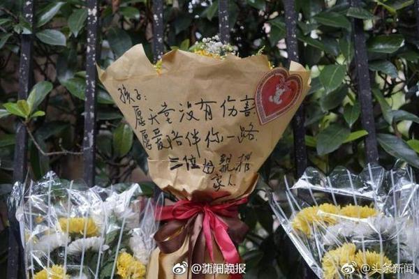 开启新征程！加拉塔萨雷社媒晒萨内归队训练视频